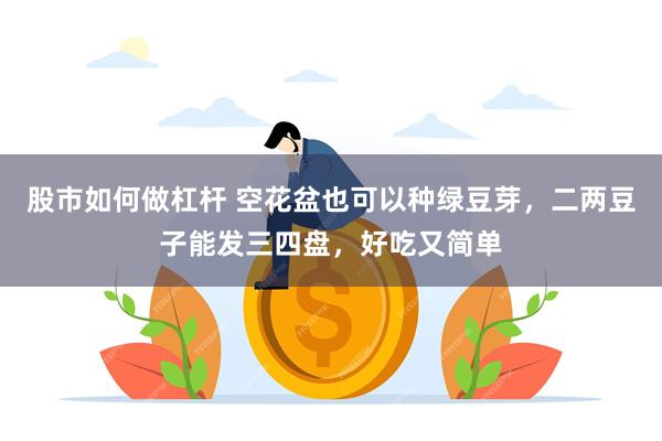 股市如何做杠杆 空花盆也可以种绿豆芽，二两豆子能发三四盘，好吃又简单