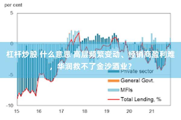 杠杆炒股 什么意思 高层频繁变动、经销商盈利难，华润救不了金沙酒业？