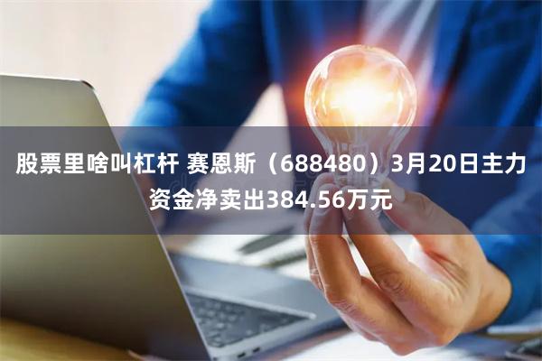 股票里啥叫杠杆 赛恩斯（688480）3月20日主力资金净卖出384.56万元