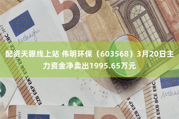 配资天眼线上站 伟明环保（603568）3月20日主力资金净卖出1995.65万元