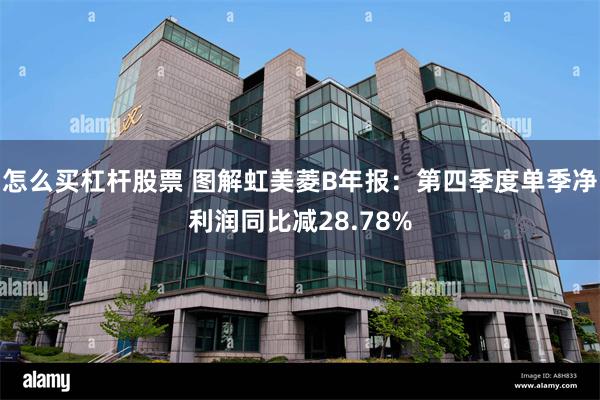 怎么买杠杆股票 图解虹美菱B年报：第四季度单季净利润同比减28.78%