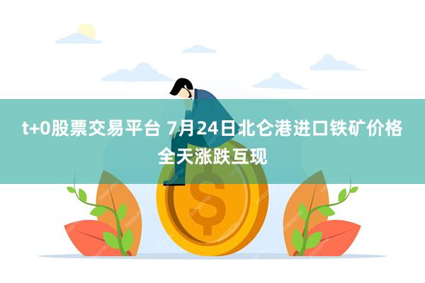 t+0股票交易平台 7月24日北仑港进口铁矿价格全天涨跌互现