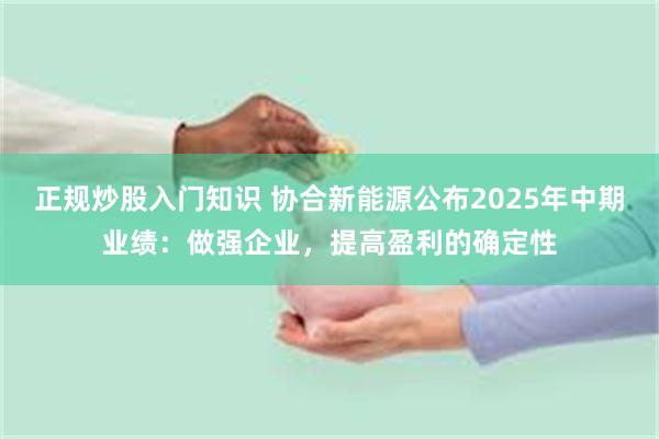 正规炒股入门知识 协合新能源公布2025年中期业绩：做强企业，提高盈利的确定性
