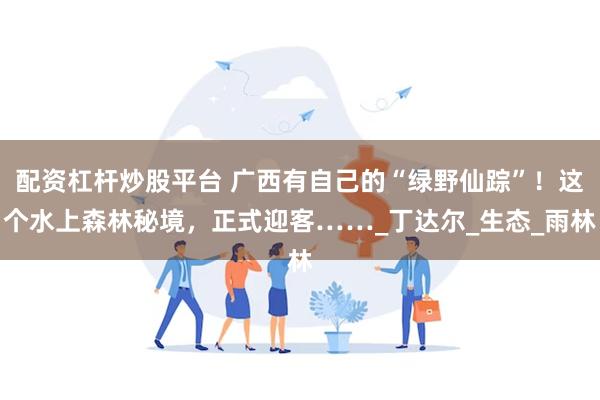 配资杠杆炒股平台 广西有自己的“绿野仙踪”！这个水上森林秘境，正式迎客……_丁达尔_生态_雨林