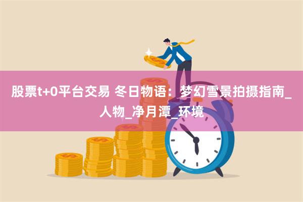 股票t+0平台交易 冬日物语：梦幻雪景拍摄指南_人物_净月潭_环境