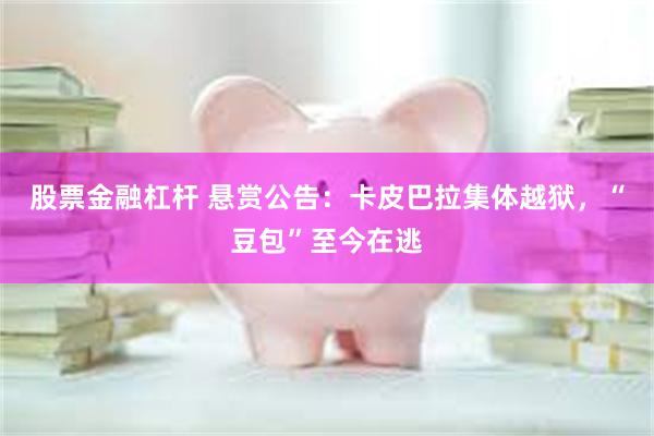 股票金融杠杆 悬赏公告：卡皮巴拉集体越狱，“豆包”至今在逃