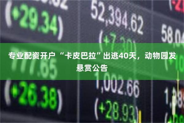 专业配资开户 “卡皮巴拉”出逃40天，动物园发悬赏公告