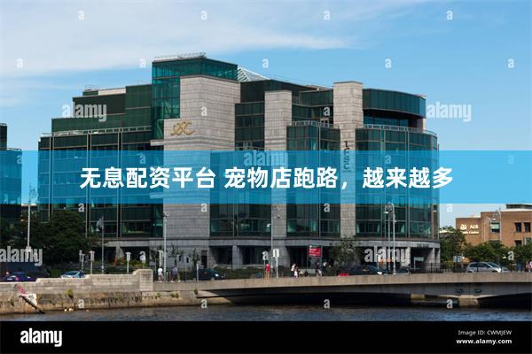 无息配资平台 宠物店跑路，越来越多