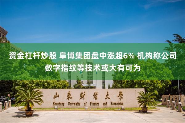 资金杠杆炒股 阜博集团盘中涨超6% 机构称公司数字指纹等技术或大有可为