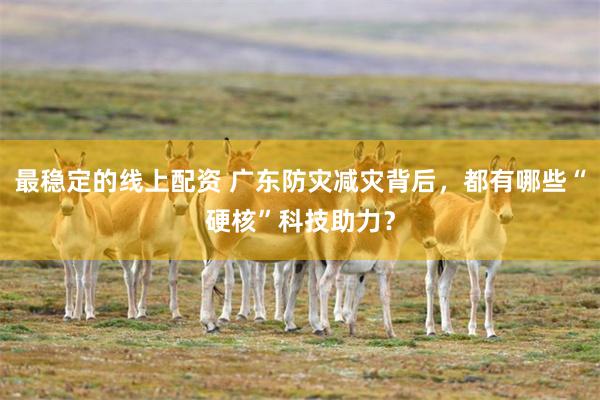 最稳定的线上配资 广东防灾减灾背后，都有哪些“硬核”科技助力？