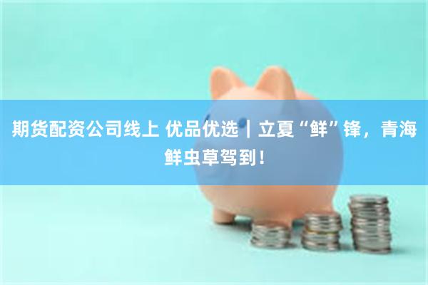 期货配资公司线上 优品优选｜立夏“鲜”锋，青海鲜虫草驾到！