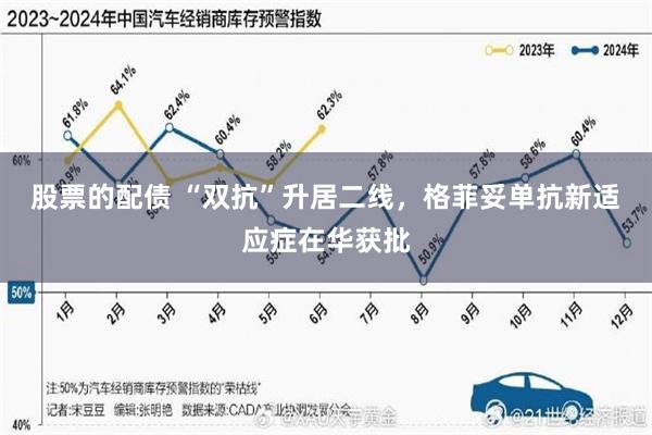 股票的配债 “双抗”升居二线，格菲妥单抗新适应症在华获批