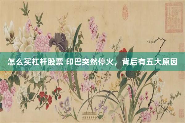 怎么买杠杆股票 印巴突然停火，背后有五大原因