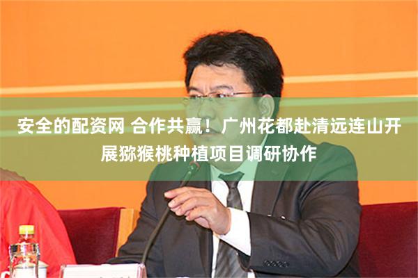 安全的配资网 合作共赢！广州花都赴清远连山开展猕猴桃种植项目调研协作