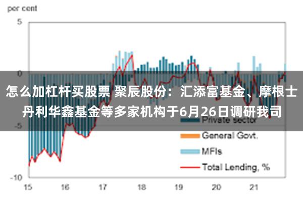 怎么加杠杆买股票 聚辰股份：汇添富基金、摩根士丹利华鑫基金等多家机构于6月26日调研我司