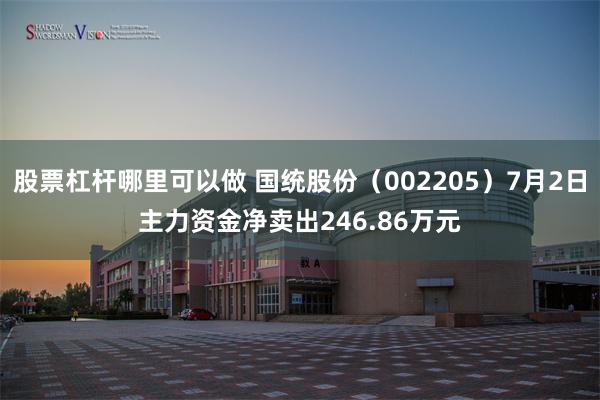 股票杠杆哪里可以做 国统股份（002205）7月2日主力资金净卖出246.86万元