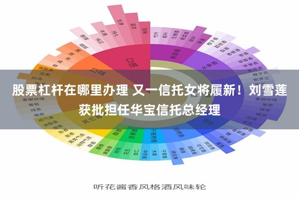 股票杠杆在哪里办理 又一信托女将履新！刘雪莲获批担任华宝信托总经理