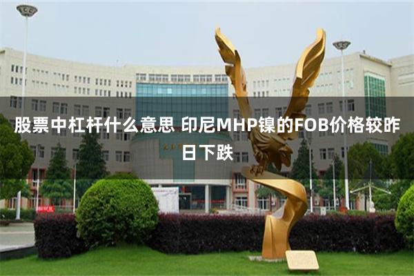 股票中杠杆什么意思 印尼MHP镍的FOB价格较昨日下跌