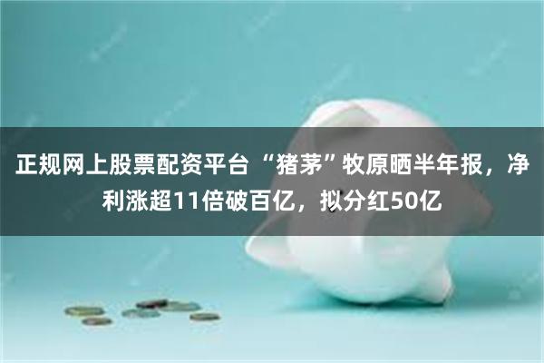 正规网上股票配资平台 “猪茅”牧原晒半年报，净利涨超11倍破百亿，拟分红50亿