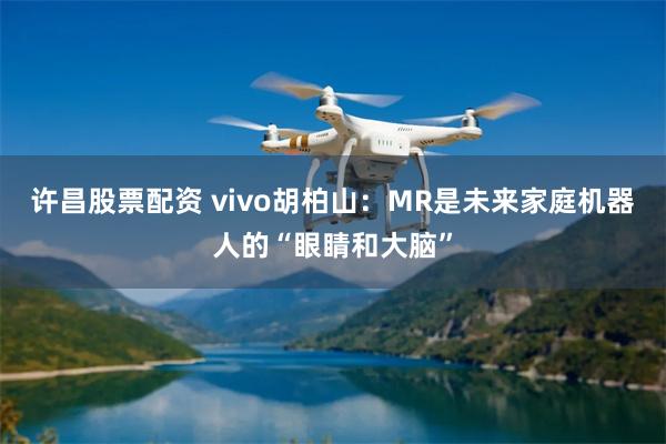 许昌股票配资 vivo胡柏山:MR是未来家庭机器人的“眼睛和大脑”