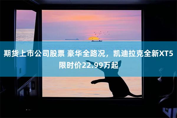 期货上市公司股票 豪华全路况,凯迪拉克全新XT5限时价22.99万起