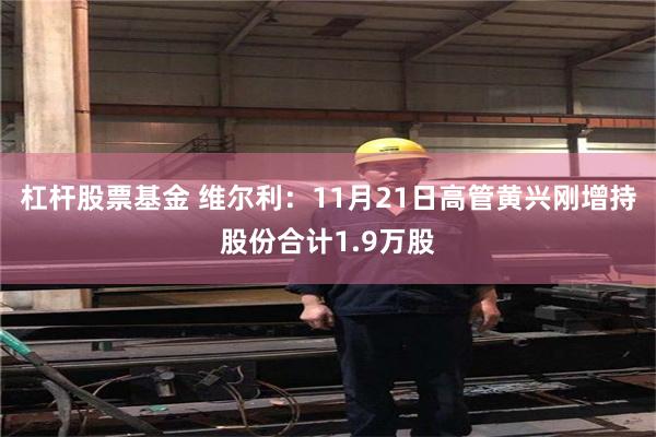 杠杆股票基金 维尔利：11月21日高管黄兴刚增持股份合计1.9万股
