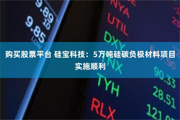 购买股票平台 硅宝科技：5万吨硅碳负极材料项目实施顺利
