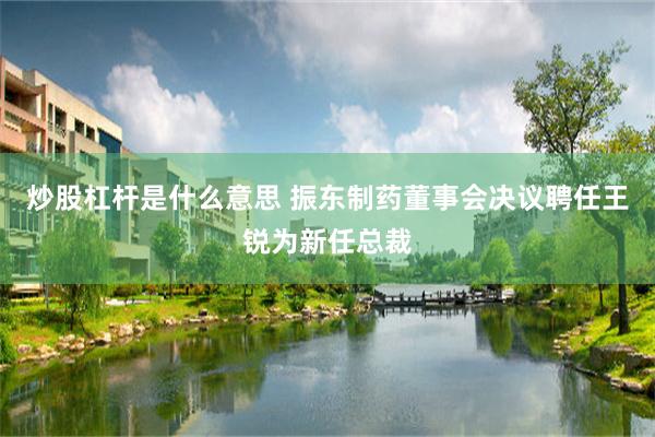 炒股杠杆是什么意思 振东制药董事会决议聘任王锐为新任总裁