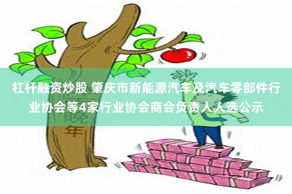 杠杆融资炒股 肇庆市新能源汽车及汽车零部件行业协会等4家行业协会商会负责人人选公示