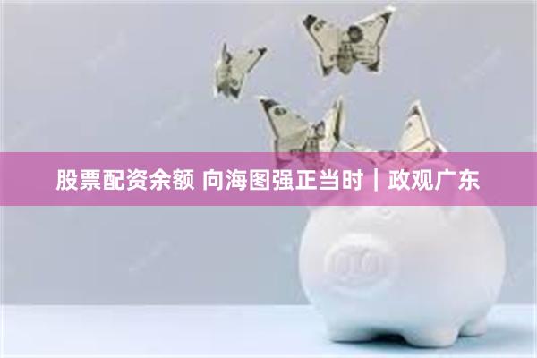 股票配资余额 向海图强正当时｜政观广东