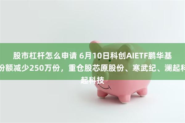 股市杠杆怎么申请 6月10日科创AIETF鹏华基金份额减少250万份,重仓股芯原股份、寒武纪、澜起科技