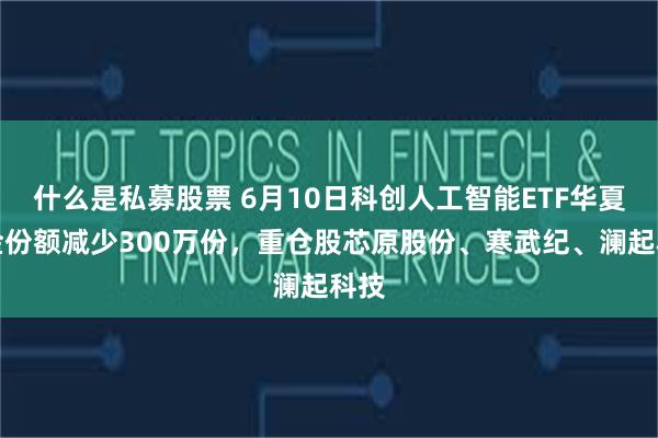 什么是私募股票 6月10日科创人工智能ETF华夏基金份额减少300万份,重仓股芯原股份、寒武纪、澜起科技