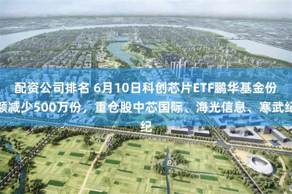 配资公司排名 6月10日科创芯片ETF鹏华基金份额减少500万份，重仓股中芯国际、海光信息、寒武纪