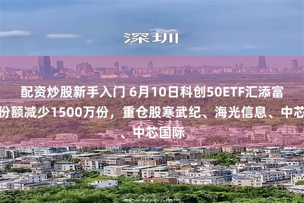 配资炒股新手入门 6月10日科创50ETF汇添富基金份额减少1500万份，重仓股寒武纪、海光信息、中芯国际