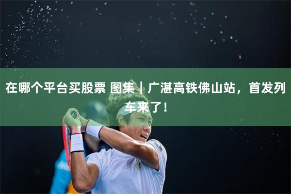 在哪个平台买股票 图集｜广湛高铁佛山站，首发列车来了！