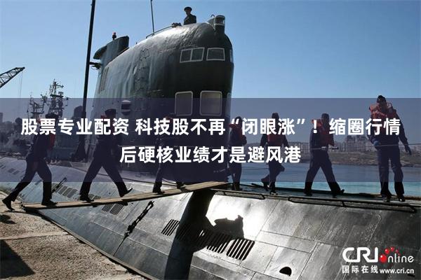 股票专业配资 科技股不再“闭眼涨”!缩圈行情后硬核业绩才是避风港