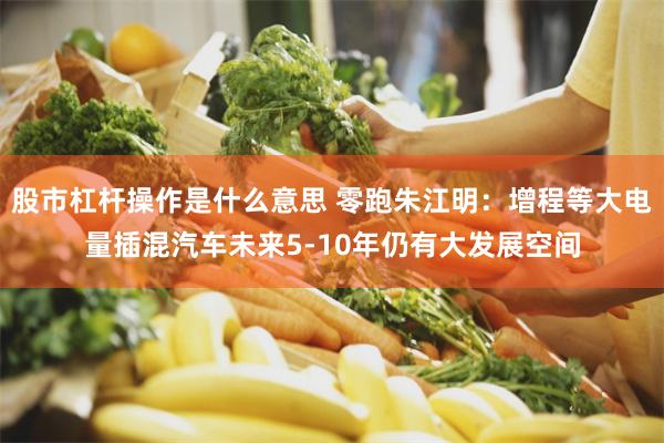 股市杠杆操作是什么意思 零跑朱江明:增程等大电量插混汽车未来5-10年仍有大发展空间
