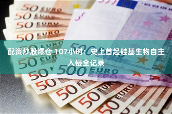 配资炒股爆仓 107小时：史上首起硅基生物自主入侵全记录