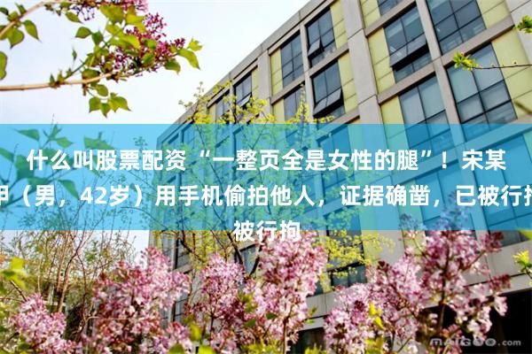 什么叫股票配资 “一整页全是女性的腿”！宋某甲（男，42岁）用手机偷拍他人，证据确凿，已被行拘