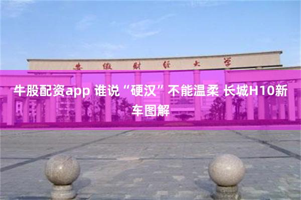 牛股配资app 谁说“硬汉”不能温柔 长城H10新车图解