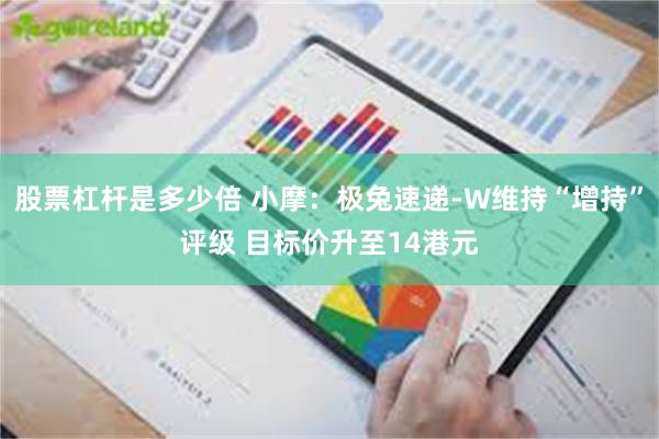 股票杠杆是多少倍 小摩：极兔速递-W维持“增持”评级 目标价升至14港元