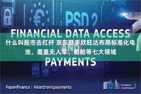 什么叫股市去杠杆 京东联手欣旺达布局标准化电池，覆盖无人车、船舶等七大领域