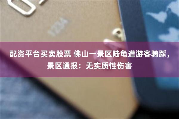 配资平台买卖股票 佛山一景区陆龟遭游客骑踩，景区通报：无实质性伤害