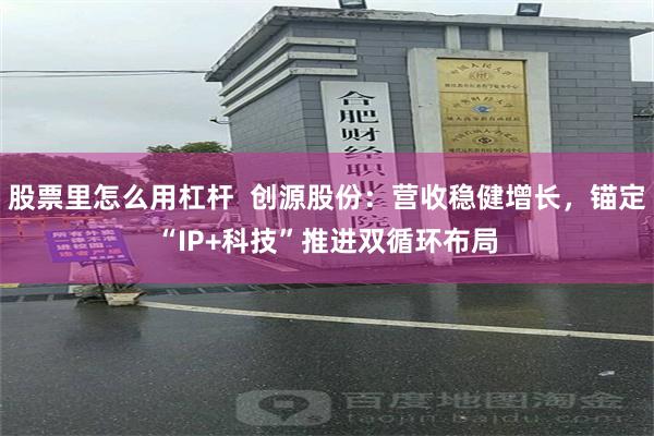 股票里怎么用杠杆  创源股份：营收稳健增长，锚定“IP+科技”推进双循环布局