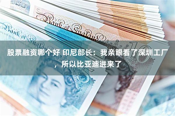 股票融资哪个好 印尼部长：我亲眼看了深圳工厂，所以比亚迪进来了