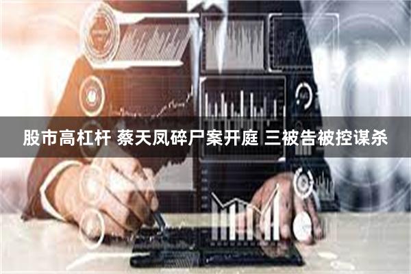 股市高杠杆 蔡天凤碎尸案开庭 三被告被控谋杀