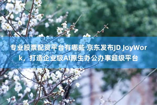 专业股票配资平台有哪些 京东发布JD JoyWork，打造企业级AI原生办公办事超级平台