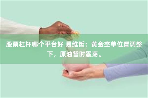 股票杠杆哪个平台好 易维哲：黄金空单位置调整下，原油暂时震荡。