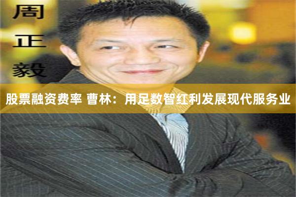 股票融资费率 曹林：用足数智红利发展现代服务业