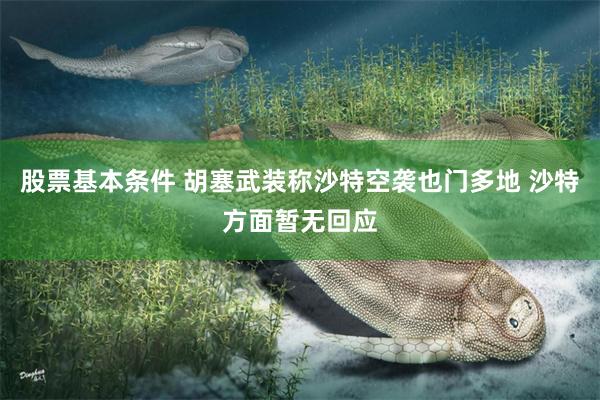 股票基本条件 胡塞武装称沙特空袭也门多地 沙特方面暂无回应